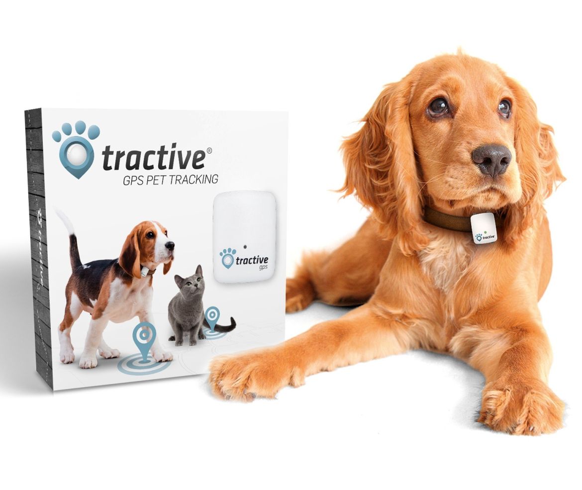 Tractive GPS tracker