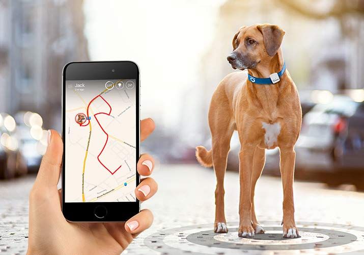 Tractive GPS Tracker pro psy a kočky Hunter´s edition