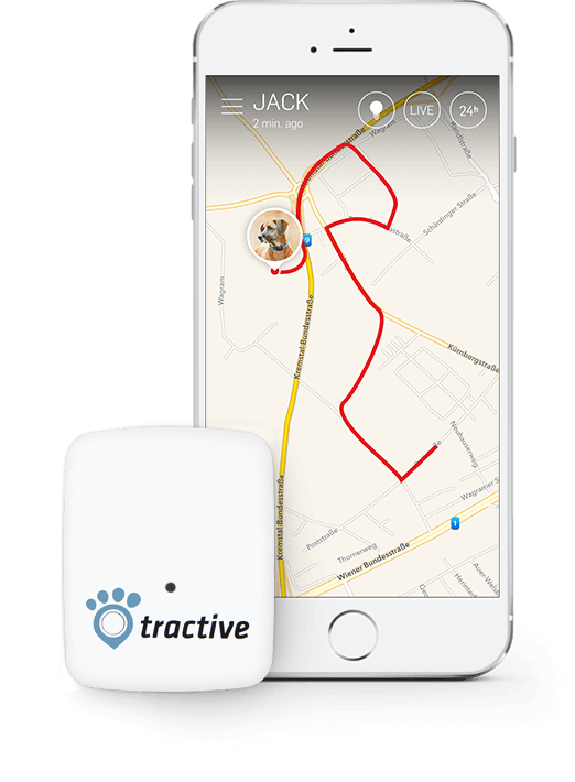 Tractive GPS tracker